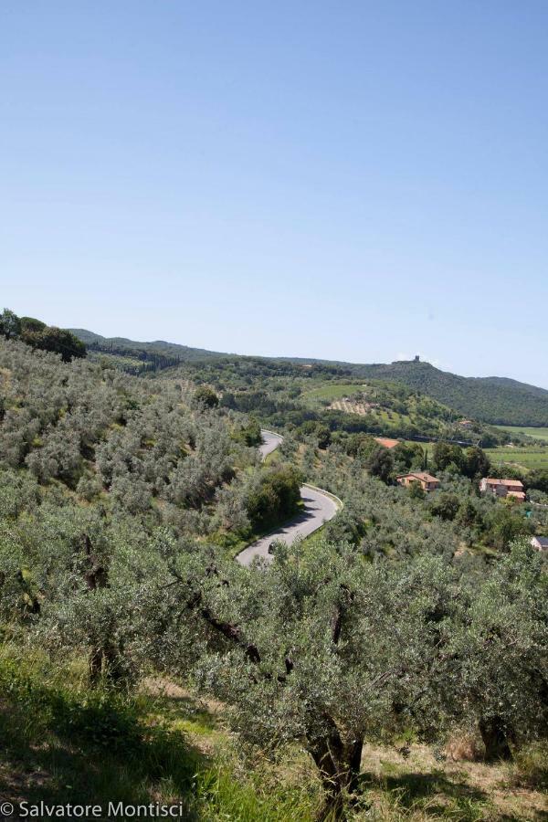 Acacia Casetta Con Giardino Donoratico Eksteriør billede